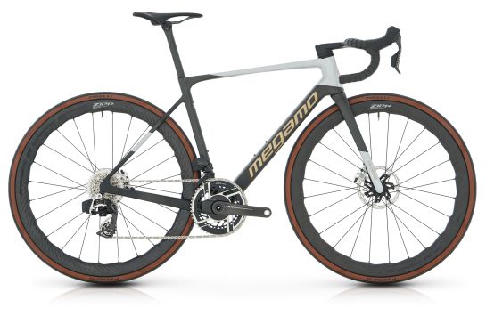 Bicicleta eléctrica